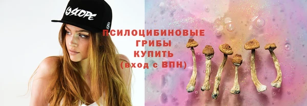 мдпв Шали