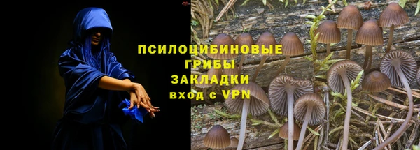 герыч Шадринск