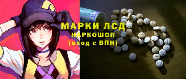 мдпв Шали
