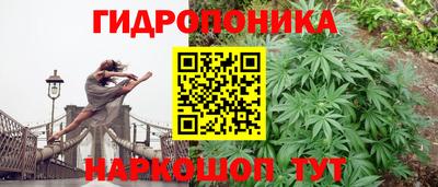 кокс Абинск