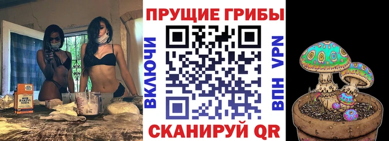 Галлюциногенные грибы MAGIC MUSHROOMS  как найти наркотики  гидра онион  Апатиты 