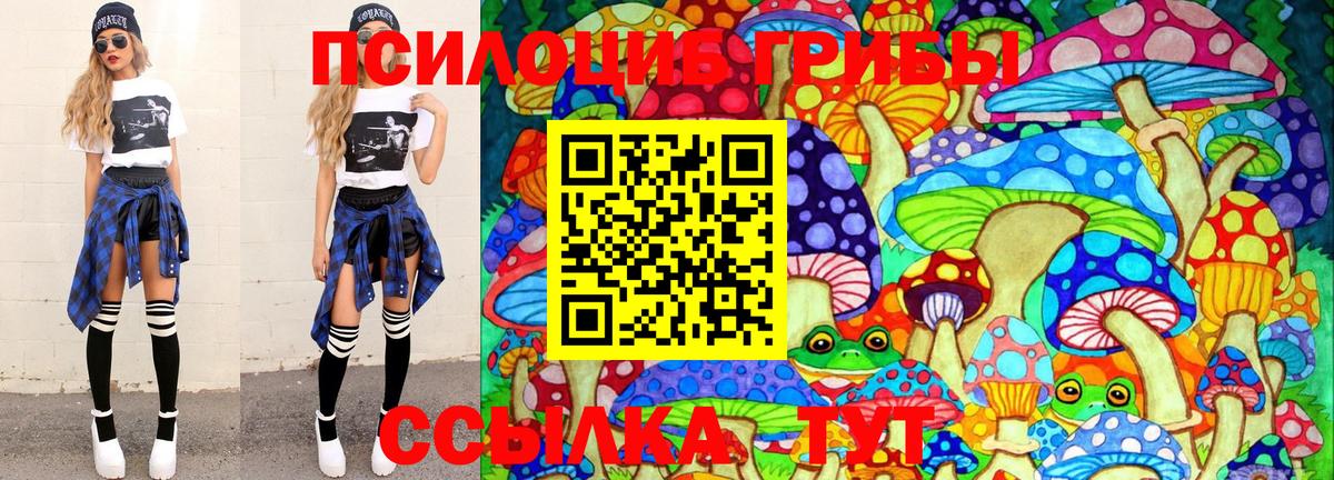 Галлюциногенные грибы Psilocybe Апатиты