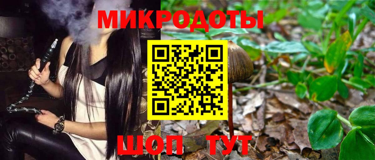 Галлюциногенные грибы Psilocybe  Апатиты 