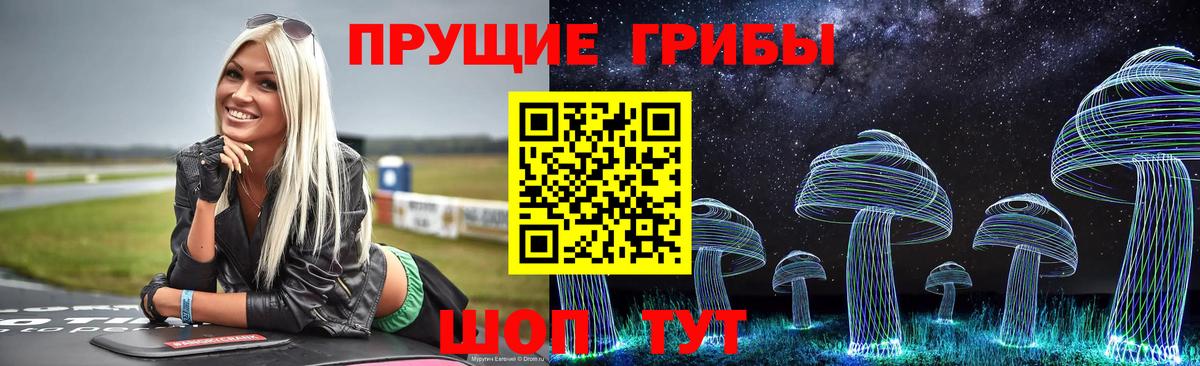 Галлюциногенные грибы GOLDEN TEACHER Апатиты