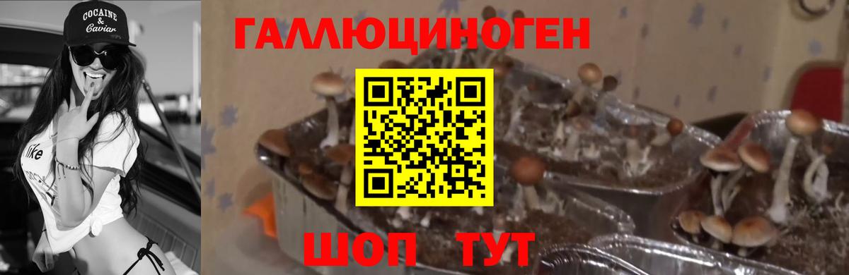 Псилоцибиновые грибы ЛСД  Вход с VPN  Апатиты 